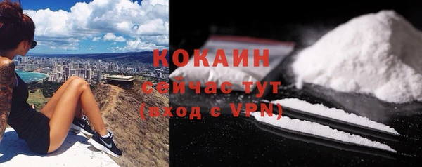 Альфа ПВП Корсаков