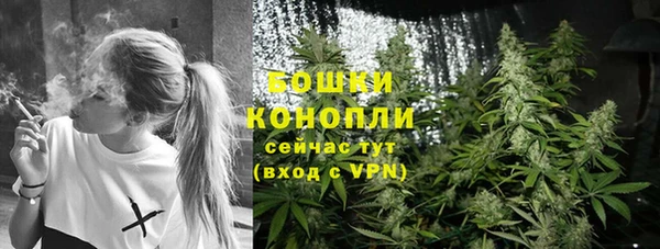 Альфа ПВП Корсаков