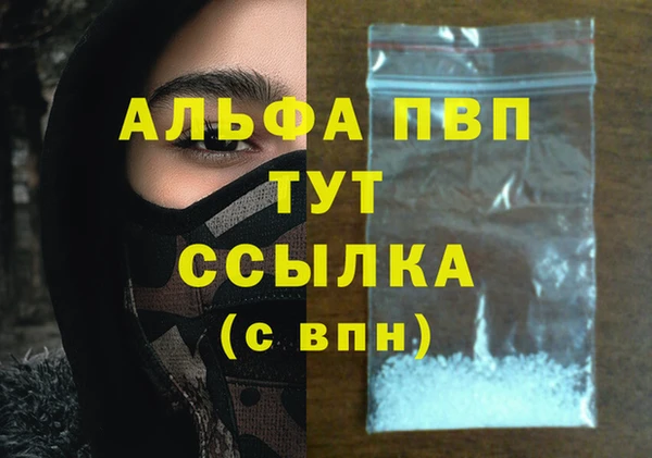 тгк Коряжма