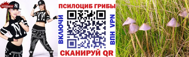 Псилоцибиновые грибы MAGIC MUSHROOMS  Купить закладки  Краснотурьинск 
